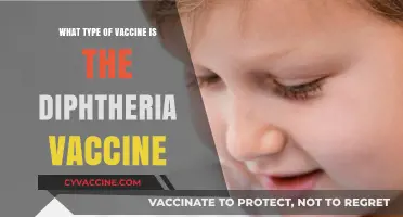 Understanding the Diphtheria Vaccine: Type, Function, and Importance