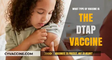 Understanding the DTaP Vaccine: Type, Purpose, and Importance Explained