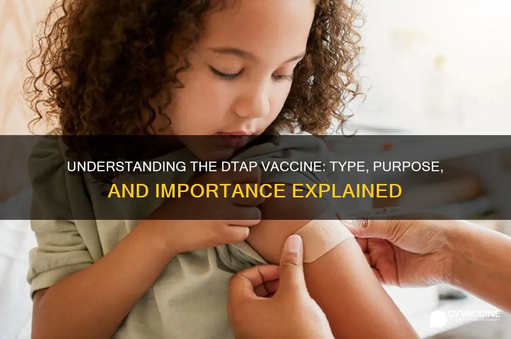 what type of vaccine is the dtap vaccine