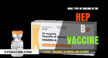 Hep B Vaccine: Understanding the Intricacies