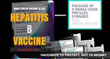 Hepatitis B Vaccine: How Does It Work?