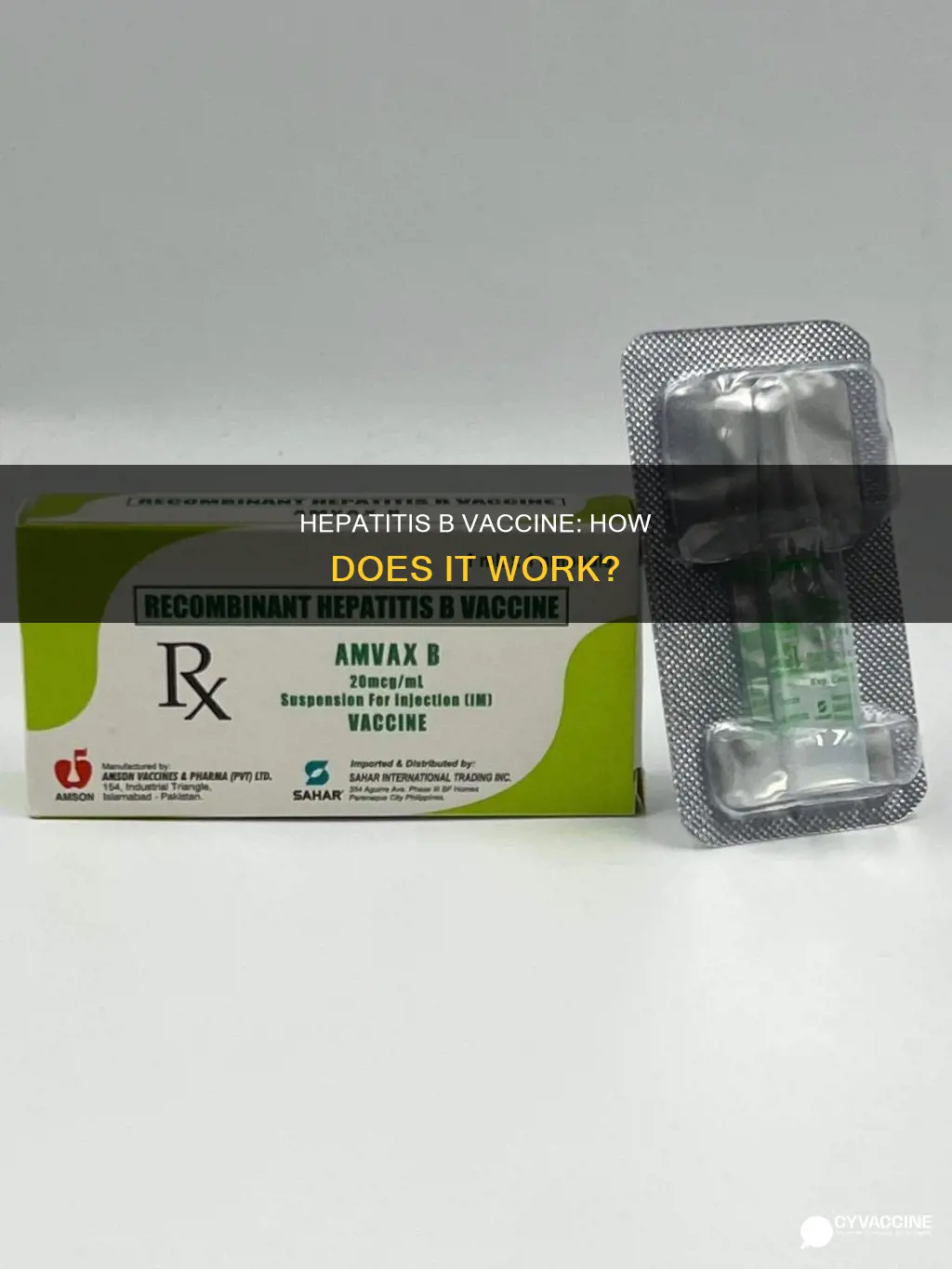 what type of vaccine is the hepatitis b vaccine