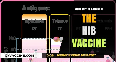 Understanding the Hib Vaccine: Type, Function, and Importance Explained