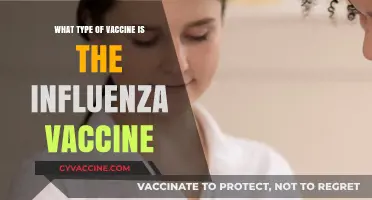 Understanding the Influenza Vaccine: Types, Composition, and Effectiveness Explained