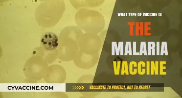 Understanding the Malaria Vaccine: Type, Mechanism, and Global Impact