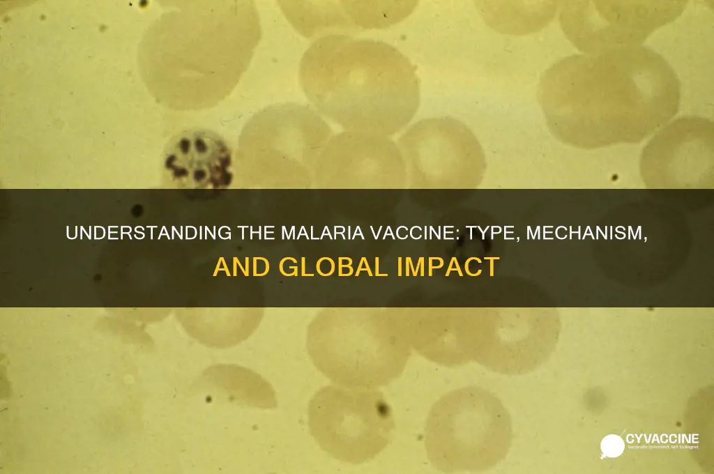 what type of vaccine is the malaria vaccine