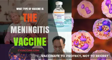 Understanding Meningitis Vaccines: Types, Protection, and Importance