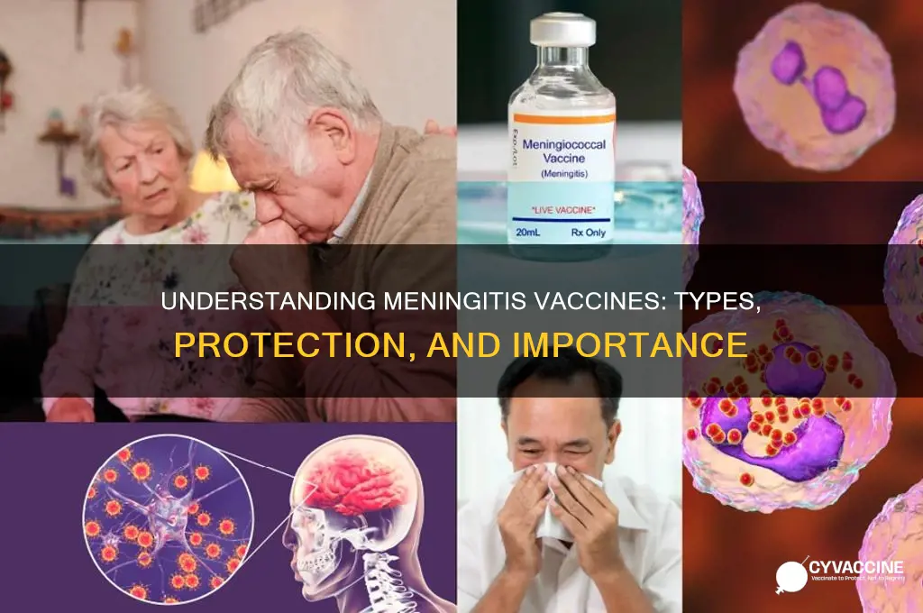 what type of vaccine is the meningitis vaccine