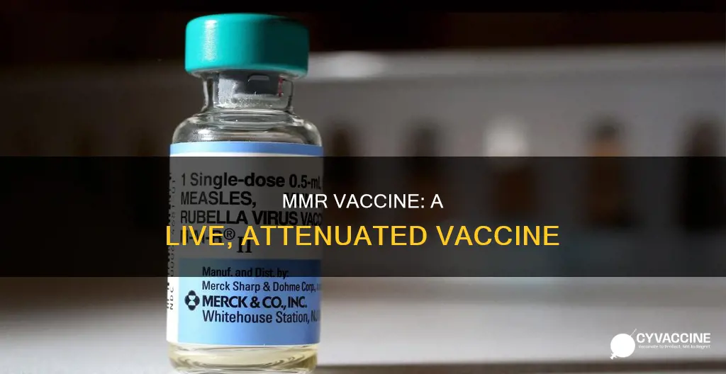 what type of vaccine is the mmr vaccine