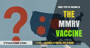 Understanding the MMRV Vaccine: Type, Purpose, and Benefits Explained