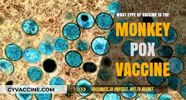 Understanding Monkeypox: Vaccine Types, Effectiveness, and Protection Explained