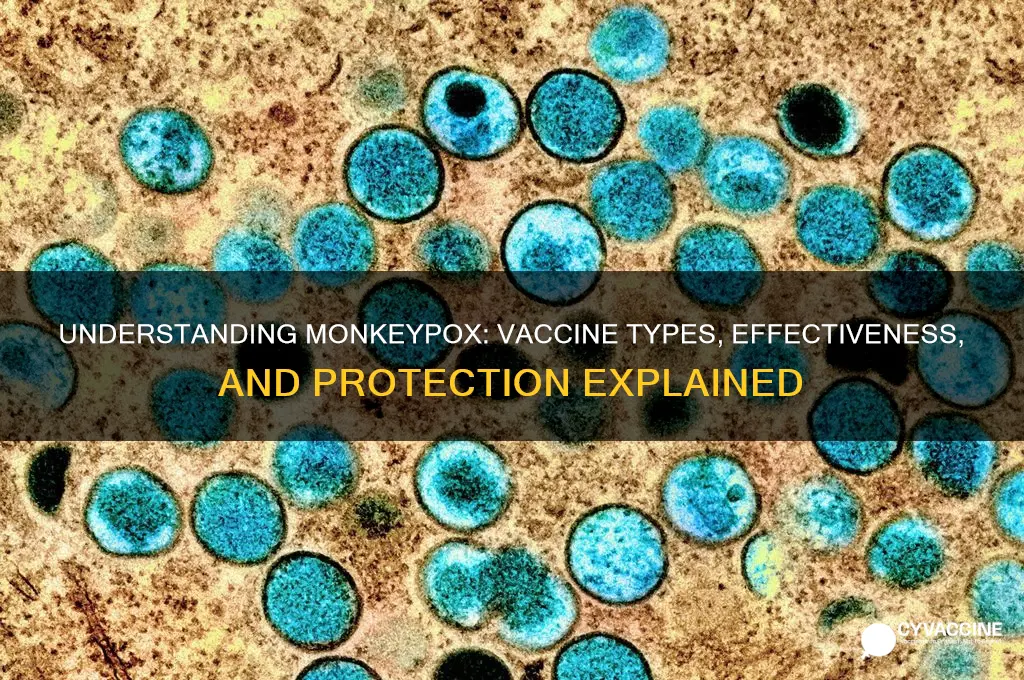 what type of vaccine is the monkey pox vaccine