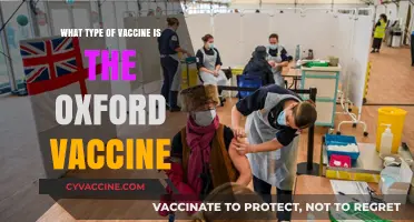 Understanding the Oxford-AstraZeneca Vaccine: Type, Technology, and Effectiveness
