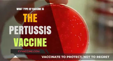 Understanding the Pertussis Vaccine: Type, Mechanism, and Importance