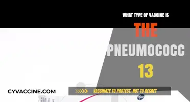 Understanding Pneumococcal 13: A Comprehensive Guide to This Vaccine Type