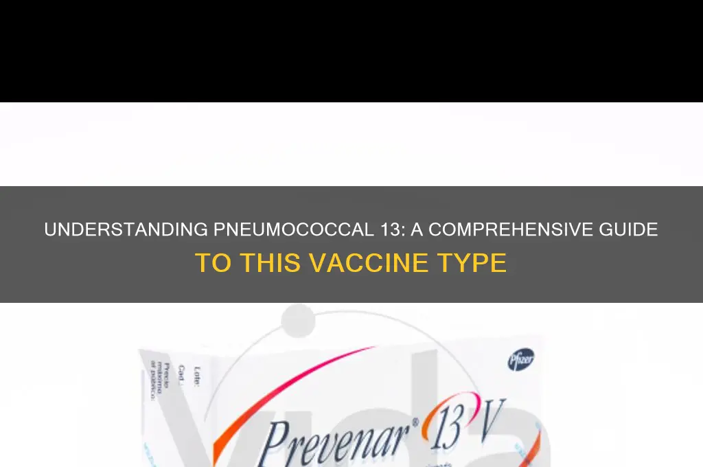what type of vaccine is the pneumococcal 13