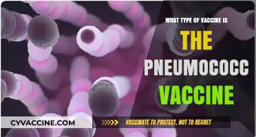 Understanding Pneumococcal Vaccine: Types, Benefits, and Importance Explained