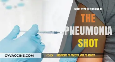Understanding Pneumonia Vaccines: Types, Benefits, and Who Needs the Shot