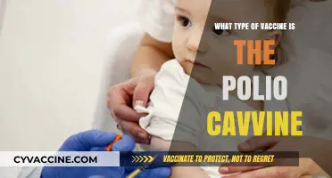 Understanding the Polio Vaccine: Type, Effectiveness, and Importance