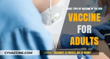 Understanding the RSV Vaccine: A Comprehensive Guide for Adults