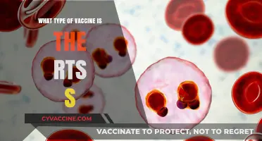 Understanding the RTS,S Vaccine: Type, Mechanism, and Impact Explained