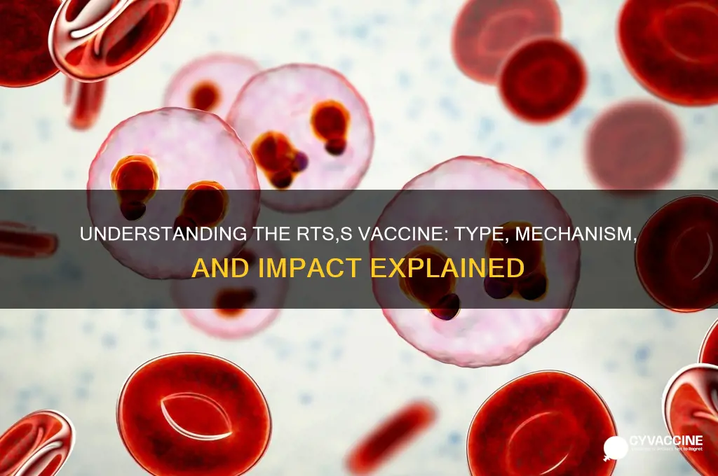 what type of vaccine is the rts s