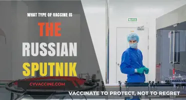 Understanding the Russian Sputnik V Vaccine: Type and Technology Explained