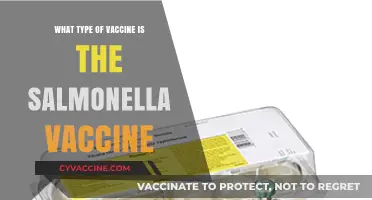Understanding the Salmonella Vaccine: Type, Function, and Importance