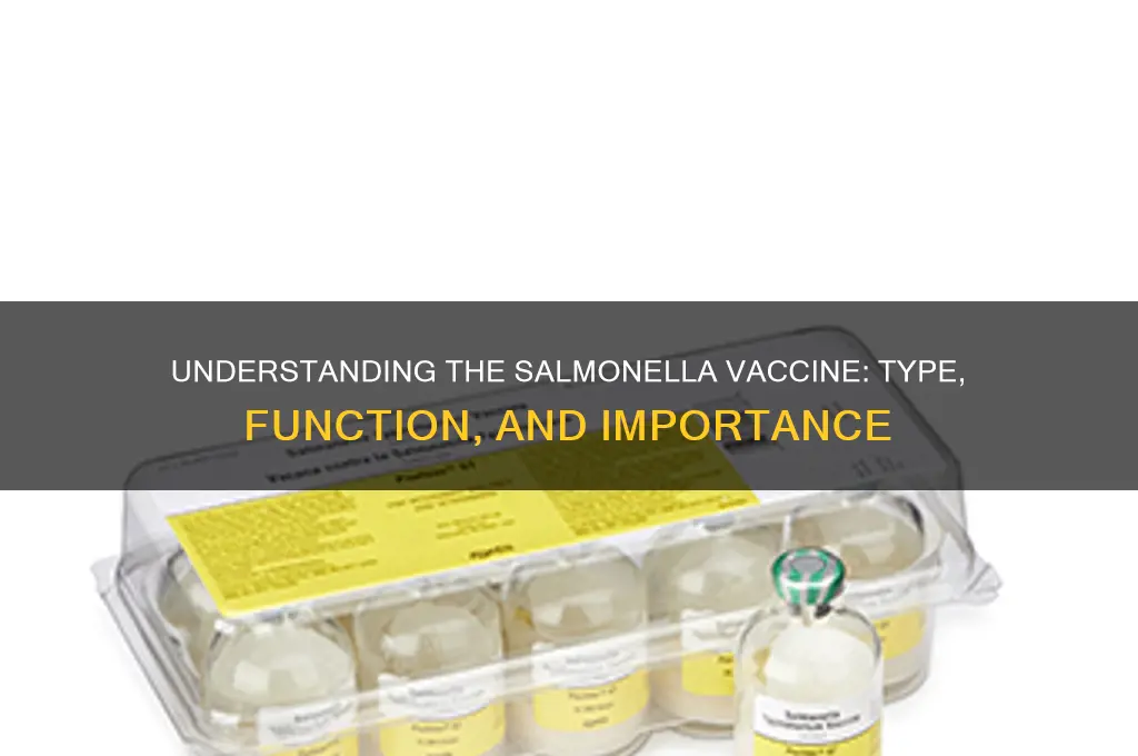 what type of vaccine is the salmonella vaccine