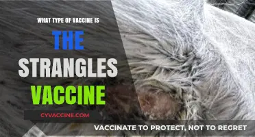 Understanding the Strangles Vaccine: Type, Efficacy, and Administration