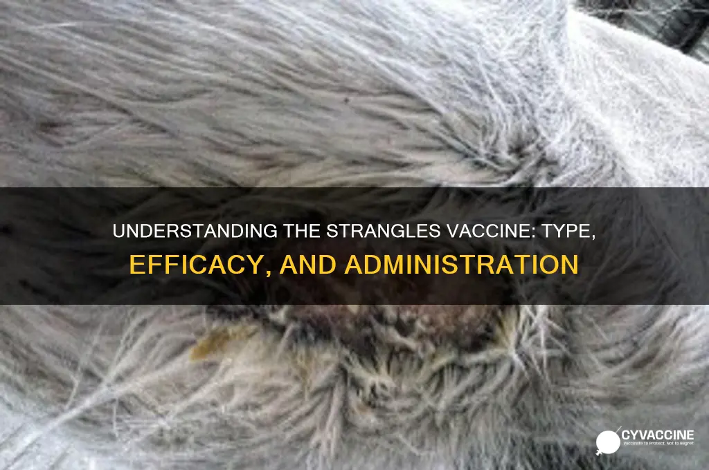 what type of vaccine is the strangles vaccine