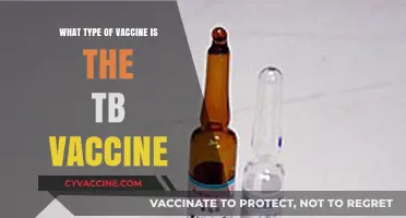 Understanding the TB Vaccine: Type, Mechanism, and Importance