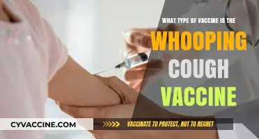 Understanding the Whooping Cough Vaccine: Type, Composition, and Protection