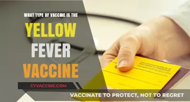 Understanding the Yellow Fever Vaccine: Type, Composition, and Effectiveness