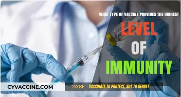 Which Vaccine Type Offers the Strongest Immune Protection?