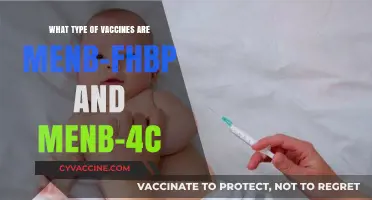 Understanding MenB-FHbp and MenB-4C Vaccines: Types and Key Differences