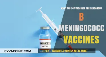 Understanding Serogroup B Meningococcal Vaccines: Types and Importance