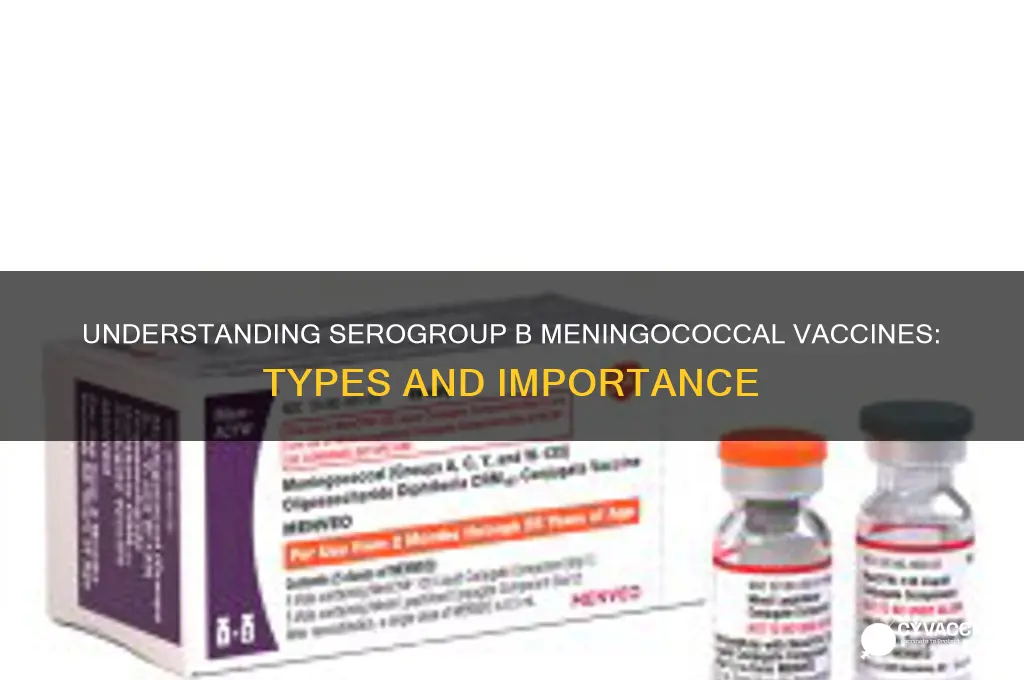 what type of vaccines are serogroup b meningococcal vaccines