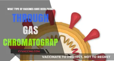 Gas Chromatography Unveils Key Vaccine Types and Their Components