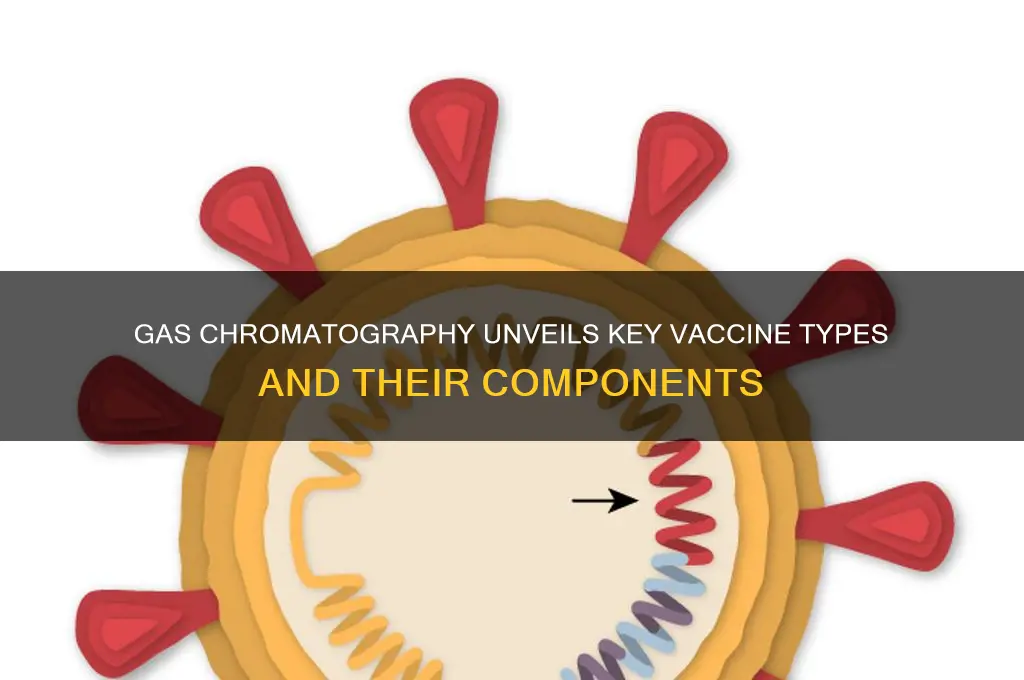 what type of vaccines have been found through gas chromatography