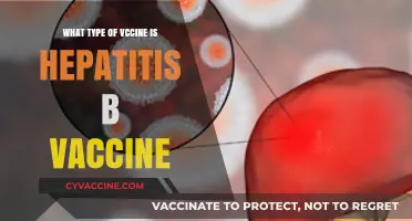 Understanding Hepatitis B Vaccine: Type, Composition, and Protection