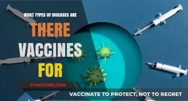 Vaccine-Preventable Diseases: Exploring the Range of Immunization Options