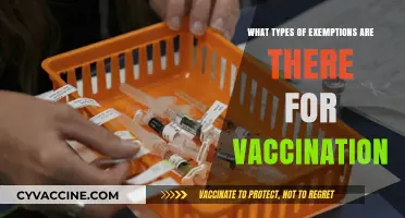 Understanding Vaccination Exemptions: Types, Criteria, and Legal Considerations