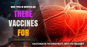Vaccine-Preventable Hepatitis Types: A Comprehensive Guide to Protection