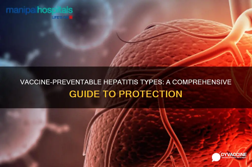 what types of hepatitis are there vaccines for