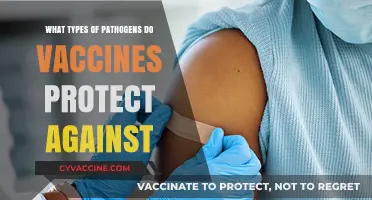Vaccines: Shielding Against Viruses, Bacteria, and Beyond – A Comprehensive Guide