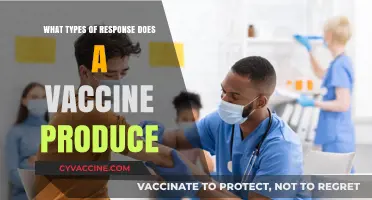 Understanding Vaccine Responses: Types and Immune System Reactions Explained