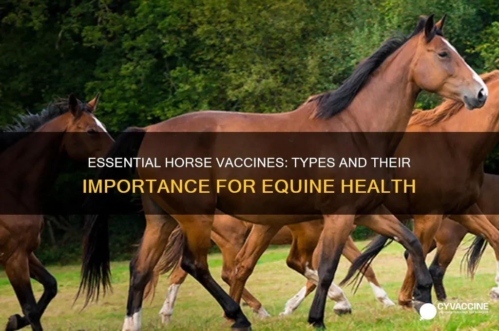 what types of vaccines are there for horses
