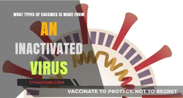 Understanding Inactivated Virus Vaccines: Types and Their Development Process