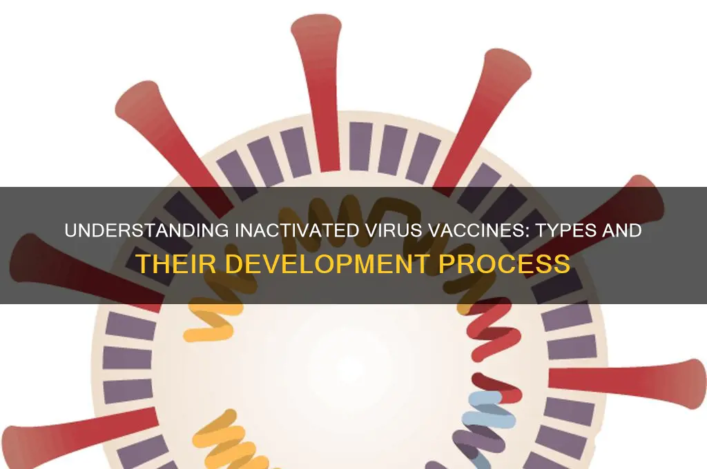 what types of vaccines is made from an inactivated virus
